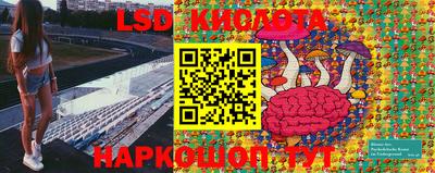 крисы Дубна