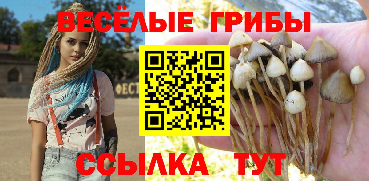 Псилоцибиновые грибы прущие грибы Мирный