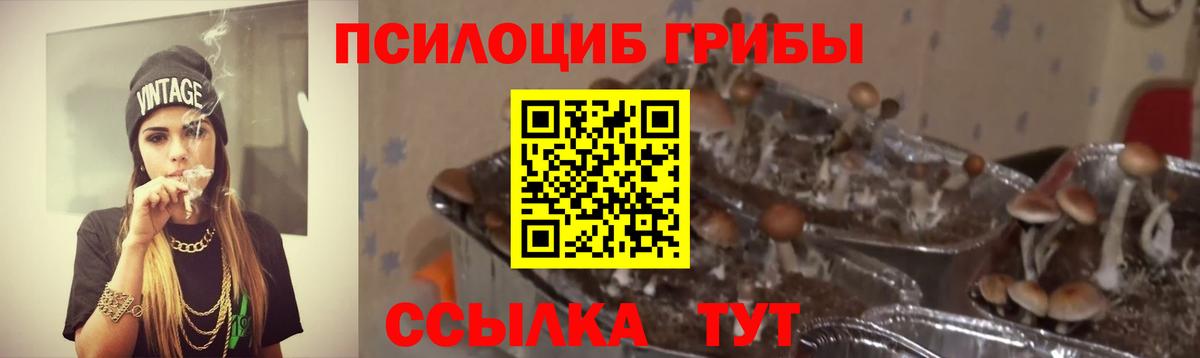 Лсд 25 Мирный